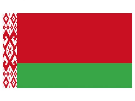 vector illustration of Belarus flag